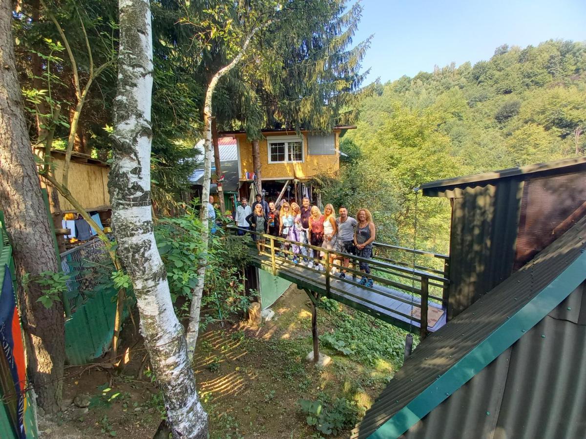 维索科Tree House公寓 外观 照片