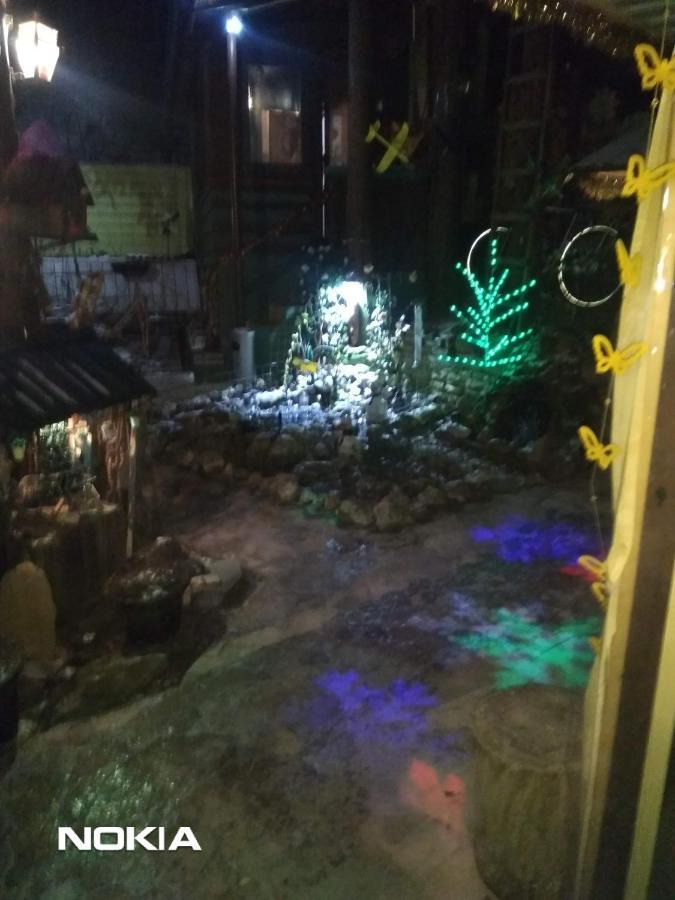 维索科Tree House公寓 外观 照片